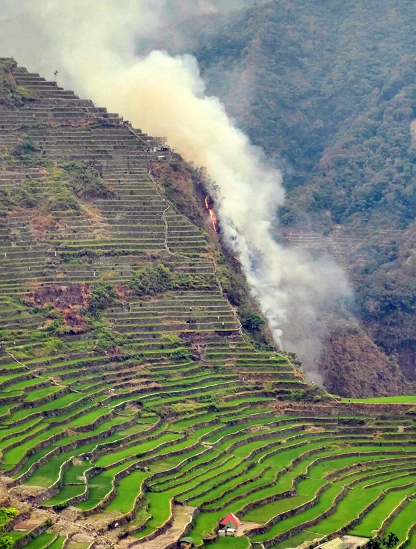Blaze Engulfs Historic Batad Rice Terraces in Ifugao