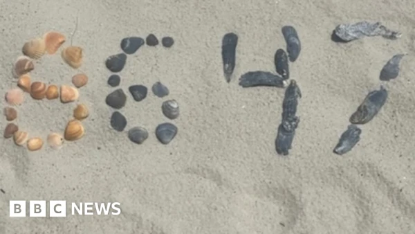 Comey Indicted Over Seashell Post, but Legal Experts Doubt Conviction