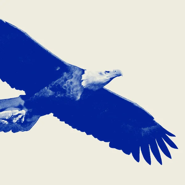 The American Economy Isn’t as Bad as You Might Think