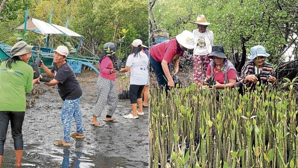 Philippine Women Forge New Path as Environmental Guardians in Sierra Madre