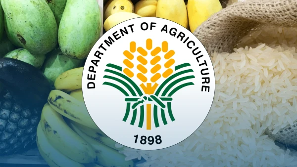 Philippines Urges Vietnam for Fairer Rice Trade Practices