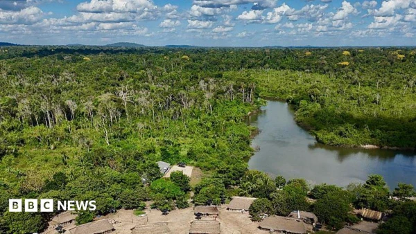 Amazon Rainforest Sees Significant Drop in Burned Areas, But Experts Urge Caution