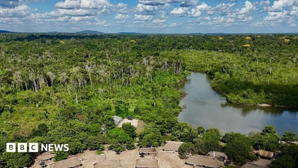 Amazon Rainforest Sees Significant Drop in Burned Areas, But Experts Urge Caution