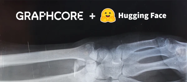 Fine-Tuning Vision Transformers on Graphcore IPUs: A Step-by-Step Guide with Hugging Face Optimum