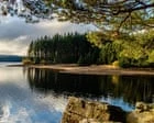 Century-Old Kielder Forest: England's Surprising Wilderness Echoes Canada and Finland