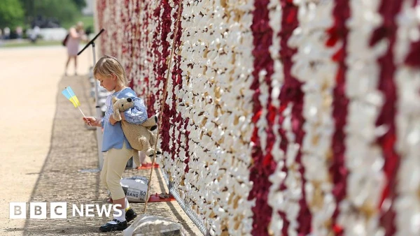 20,000 Teddy Bears on National Mall Draw Attention to Missing Ukrainian Children