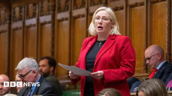 MP says town is shared housing 'wild west'