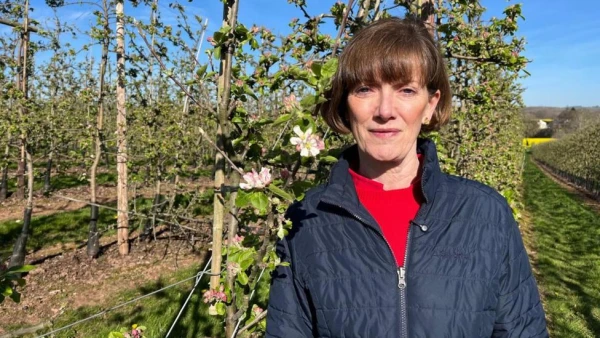 Farmers Face Inevitable Price Hikes as Iran Conflict Inflates Production Costs