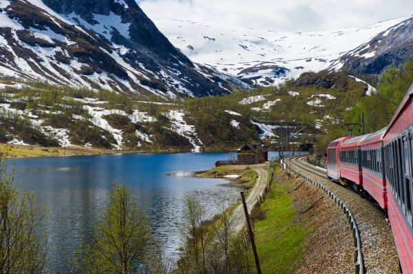 ‘An unforgettable train ride through deep gorges, canyons and mountain peaks’: readers’ favourite European rail journeys