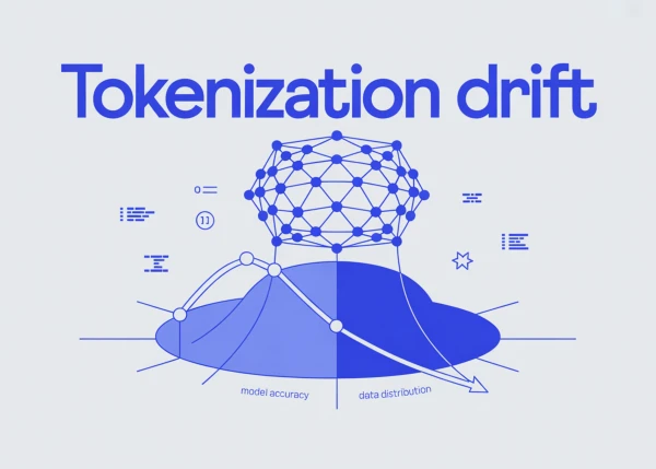 Tokenization Drift: Understanding the Problem and Solutions for AI Systems