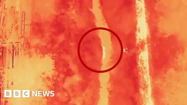 Fugitive Korean Wolf Captured After Week-Long Manhunt