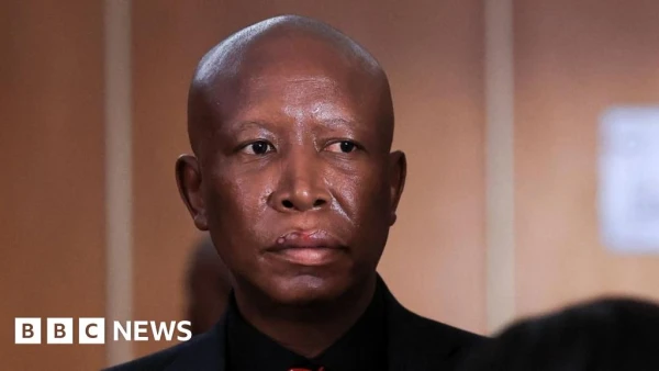South African Firebrand Julius Malema Receives Five-Year Sentence, Granted Appeal in Gun Case