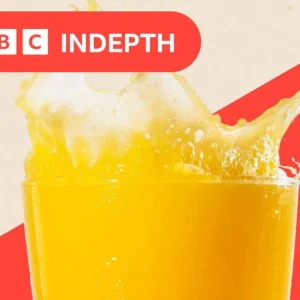 Squeezed Dry: How the Spiking Cost of Orange Juice Explains Britain's Stubborn Grocery Inflation