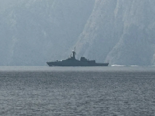 Iran's Resilience Under US Hormuz Blockade: A Strategic Assessment