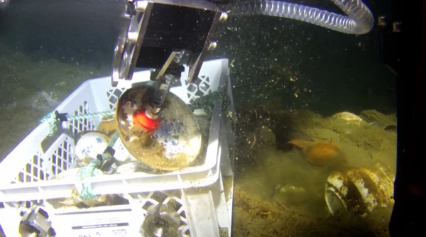 18th-Century Shipwreck Yields Chinese Porcelain and Chandelier in Norway