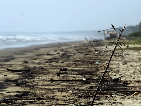 Venezuela Blames Trinidad and Tobago for Oil Spill, Warns of Damage