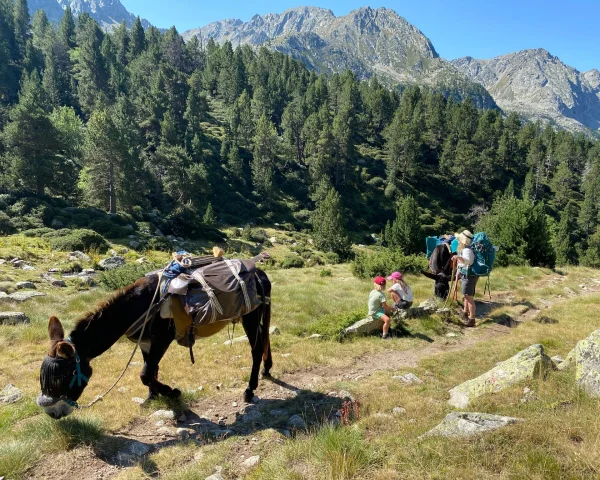 Donkey Trekking in the Spanish Pyrenees: A Slow-Paced Family Adventure Through Breathtaking Landscapes