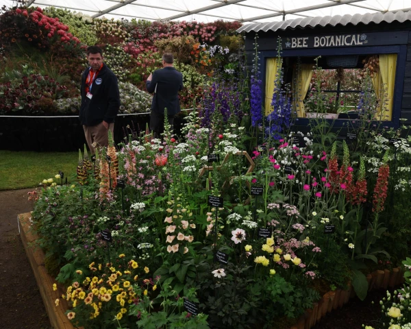 RHS Faces Conservative Backlash at Chelsea Flower Show Over 'Wokery' and Corporate Ties