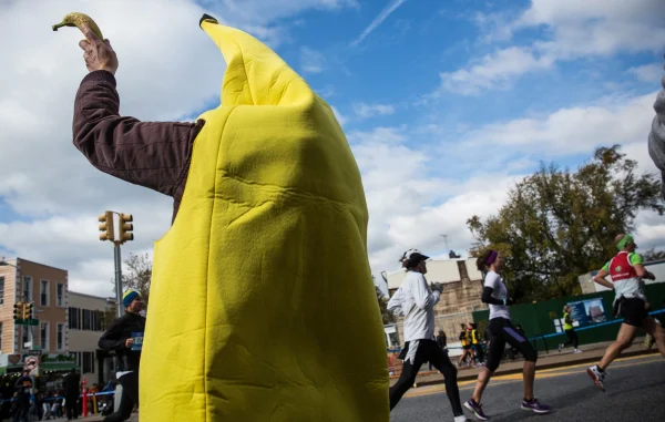 Fan in Banana Costume Calls Out End It After Band Encourages Attack