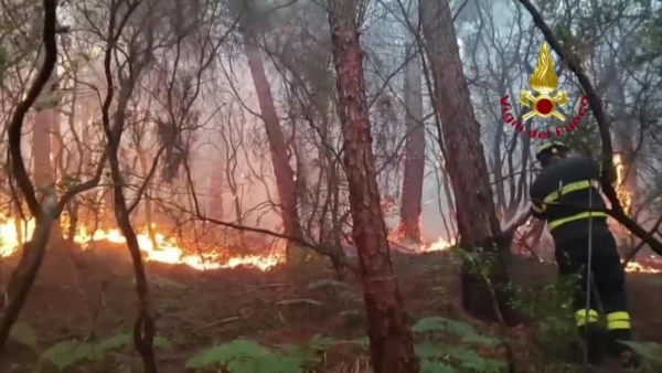 Tuscany Wildfires Devastate 800 Hectares of Forest as Firefighters Battle Blazes