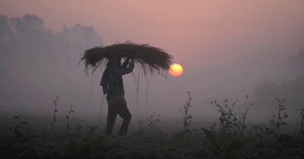 Iran Conflict Sparks Global Food Security Alarm as Analysts Warn of Looming Crisis