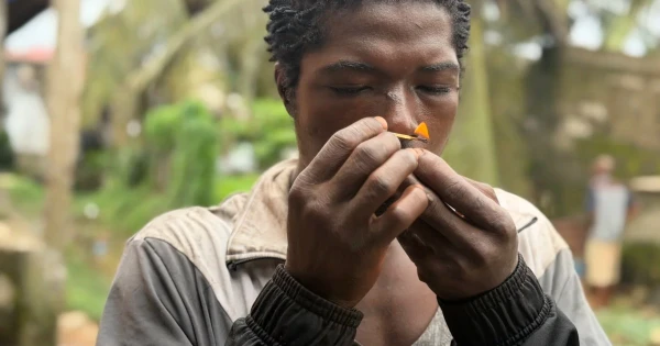 The Kush Epidemic: How a Covert Drug Trade is Devastating Liberia's Youth
