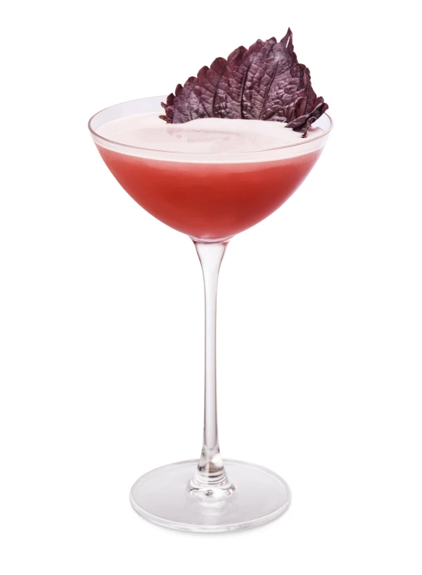 Herbal Twist: Cafe Kowloon's Shiso Daiquiri Recipe