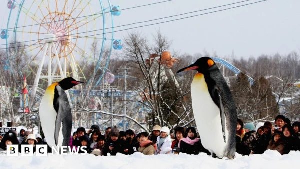 Zoo Worker Confesses to Disposing of Wife's Body in Animal Incinerator, Forcing Summer Delay