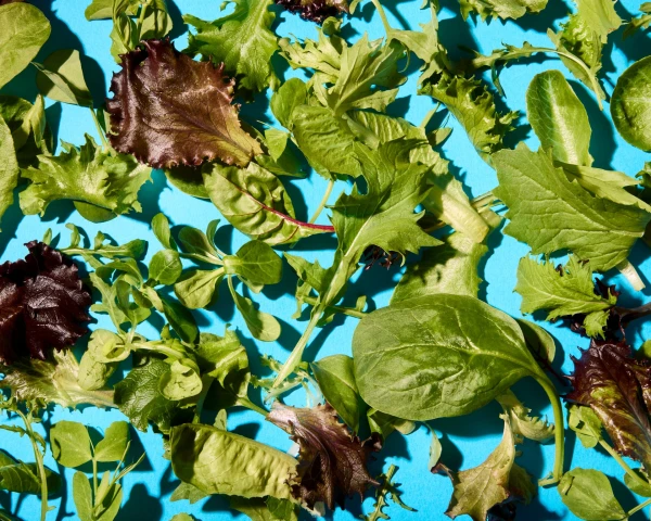 ‘I ate the whole bag like a packet of crisps’: the best supermarket salad bags, tasted and rated