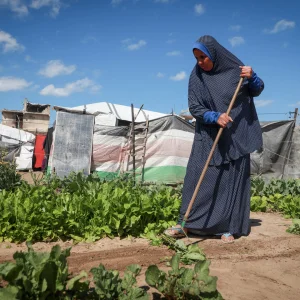 From Heritage to Survival: The Grim Reality of Land Day in War-Torn Gaza