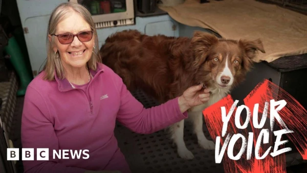 Pet Insurance Nightmare: Owners Face Skyrocketing Bills as Policies Fail