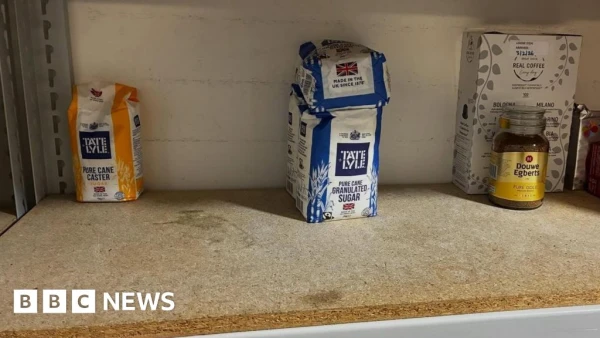 Guernsey's Largest Food Bank Warns of 'Critically Low' Stocks as Demand Surges