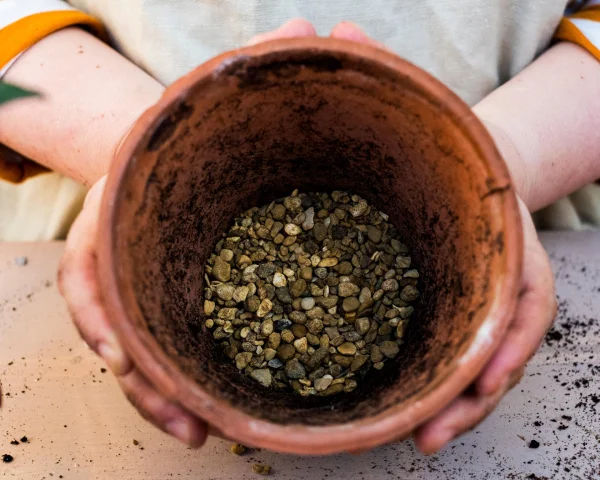 Houseplant hacks: does putting gravel at the bottom of pots improve drainage?