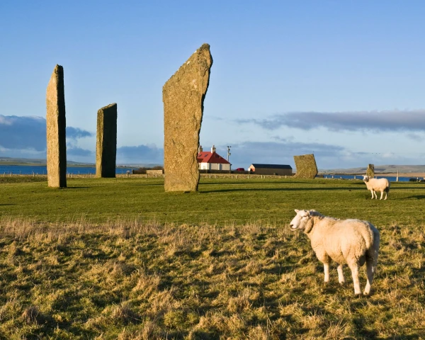 Exploring Orkney's Neolithic Wonders and Scenic Shores for Just £2 by Bus