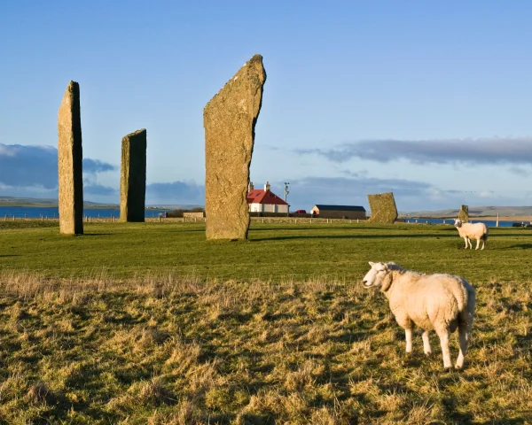 Exploring Orkney's Neolithic Wonders and Scenic Shores for Just £2 by Bus