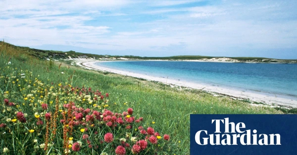 Outer Hebrides Awash in Wildflower Spectacle: Nature's Palette Transforms Scottish Isles
