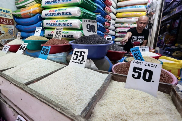Government Price Cap on Imported Rice Protects Consumers, Says DA