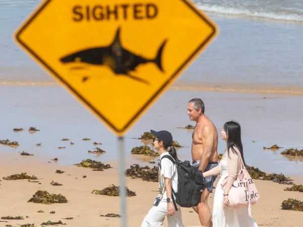 Shark Attack Claims Life of Man off Northeast Australia Coast