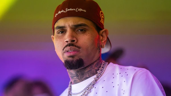 Chris Brown's Ex-Housekeeper Battles to Present Gruesome Dog Attack Photos at Trial
