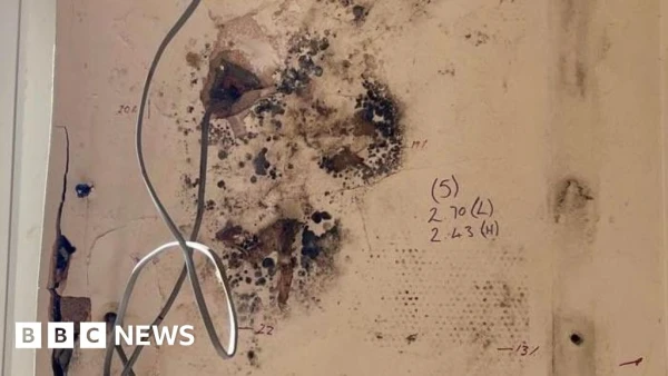 Dawn Raids Uncover £44 Million Fraud in Government's Troubled Home Insulation Program