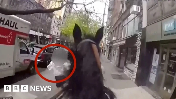 NYPD Mounted Officer Pursues Suspect Through Manhattan Streets in Dramatic Chase