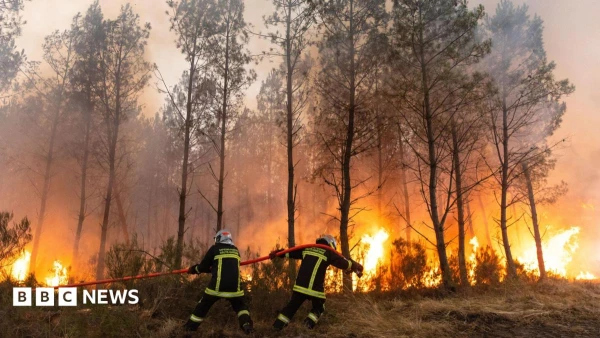 Raging Inferno: Wildfires Engulf France and Spain, Disrupting Lives