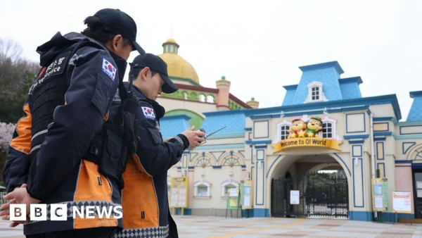 Elusive Zoo Wolf Captivates South Korea in High-Stakes Fugitive Hunt