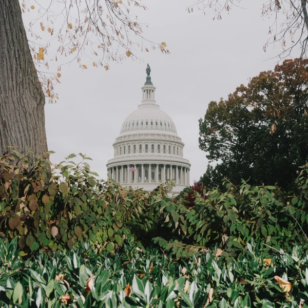 What’s the Matter With Congress?