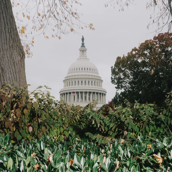 What’s the Matter With Congress?
