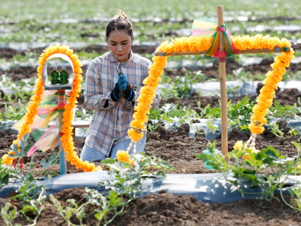 Global Food Security Hangs in Balance as Strait of Hormuz Tensions Threaten Supply Chains