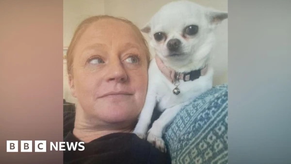 Northamptonshire Animal Sanctuary Faces Eviction, Seeks £150,000 to Buy Land