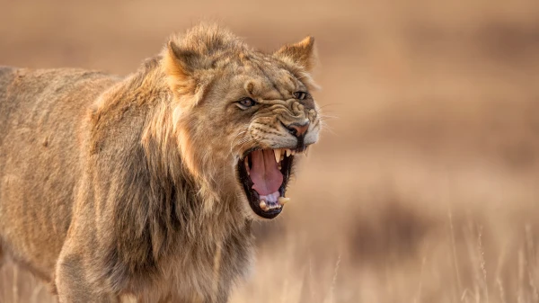 The Two Words That Will Only Make an Angry Person More Furious