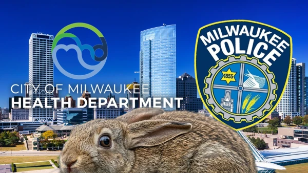 Milwaukee Authorities Investigate Graphic Photo of Man Eating Rabbit on Street
