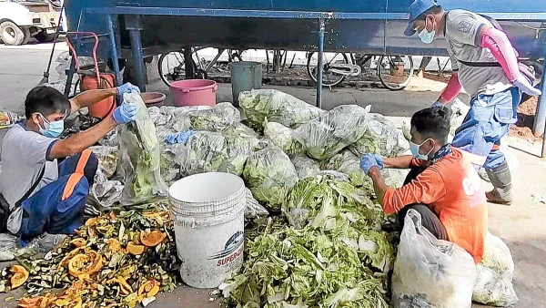Marikina's Waste Revolution: How a 20-Year-Old Ordinance Transformed a City into a Cleanliness Model